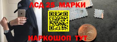 Альфа ПВП Новодвинск