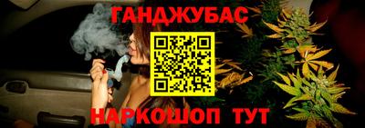 Альфа ПВП Новодвинск